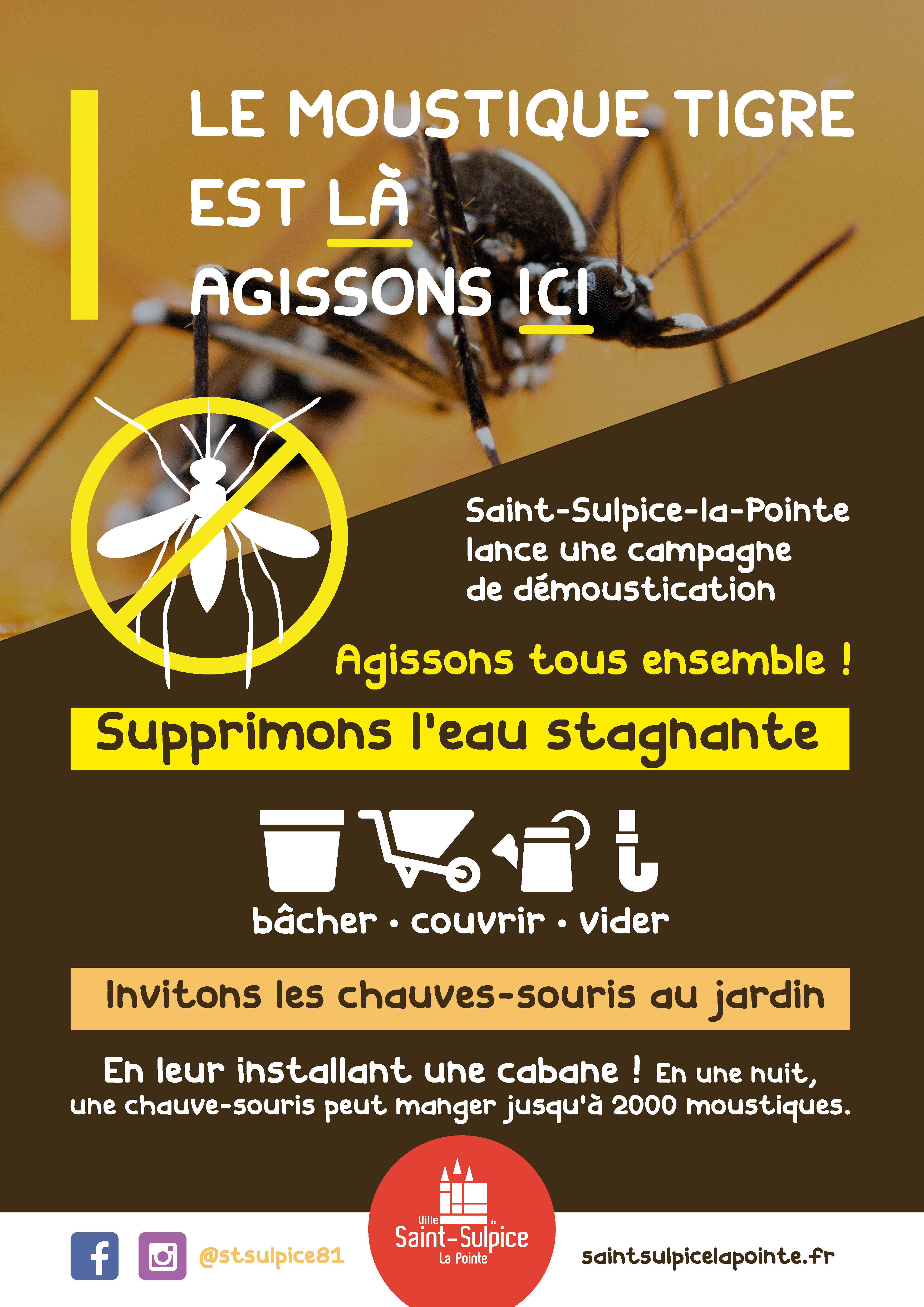 moustiques