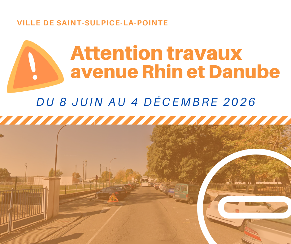 trvaux rhin et danube
