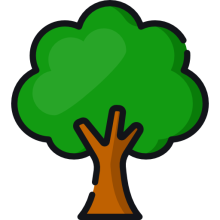arbre